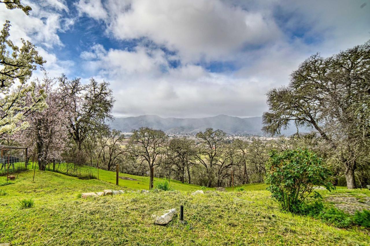 Hilltop Loft Ukiah Vacation Rental! Dış mekan fotoğraf