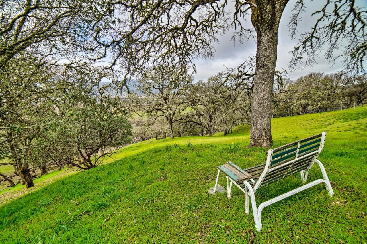 Hilltop Loft Ukiah Vacation Rental! Dış mekan fotoğraf