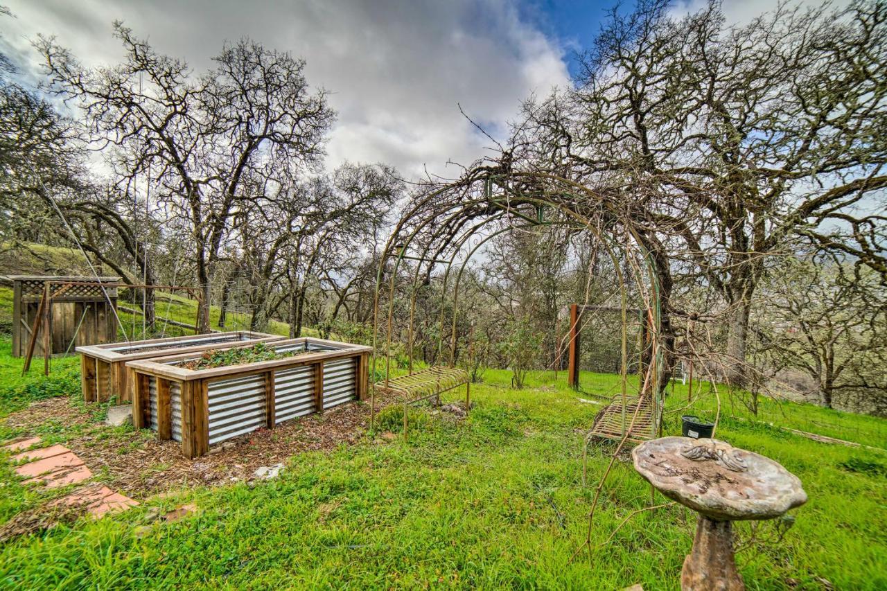 Hilltop Loft Ukiah Vacation Rental! Dış mekan fotoğraf